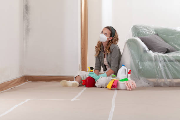 Reliable Basement Mold Remediation contractor in Canton, TX by 24 Hour Mold Removal